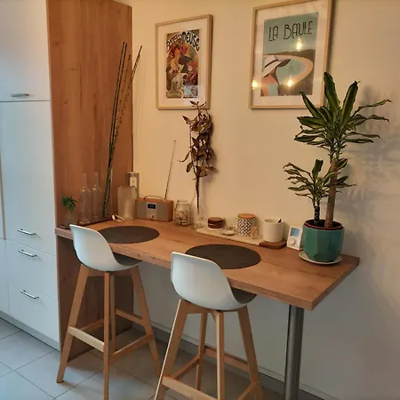 Lumineux 70 M2 Proche Centre